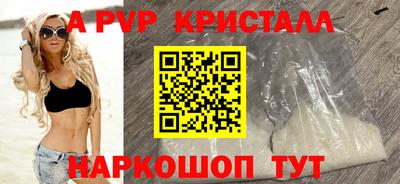 хмурый Тула