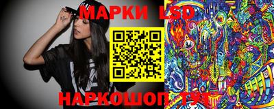 хмурый Тула